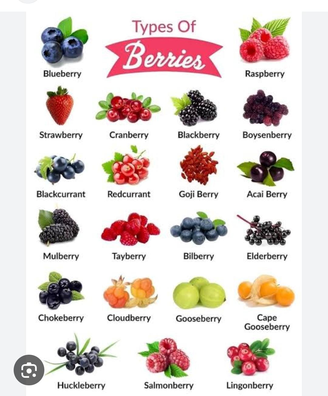 Types Of Berries